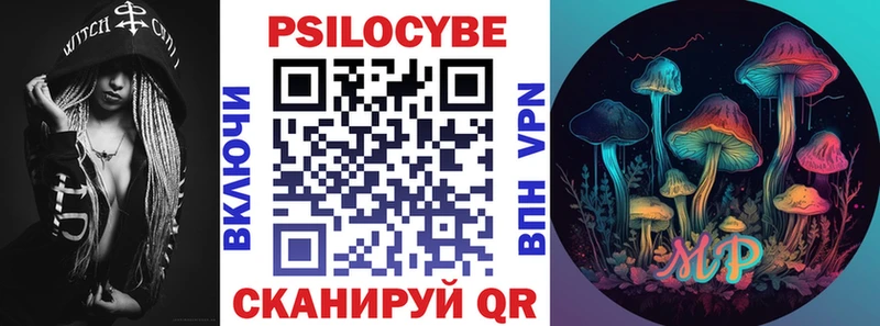 где найти   Приволжск  Псилоцибиновые грибы Psilocybine cubensis 